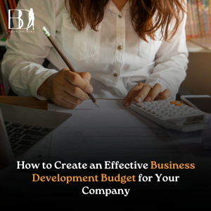 Read more about the article How to Create an Effective Business Development Budget for Your Company
